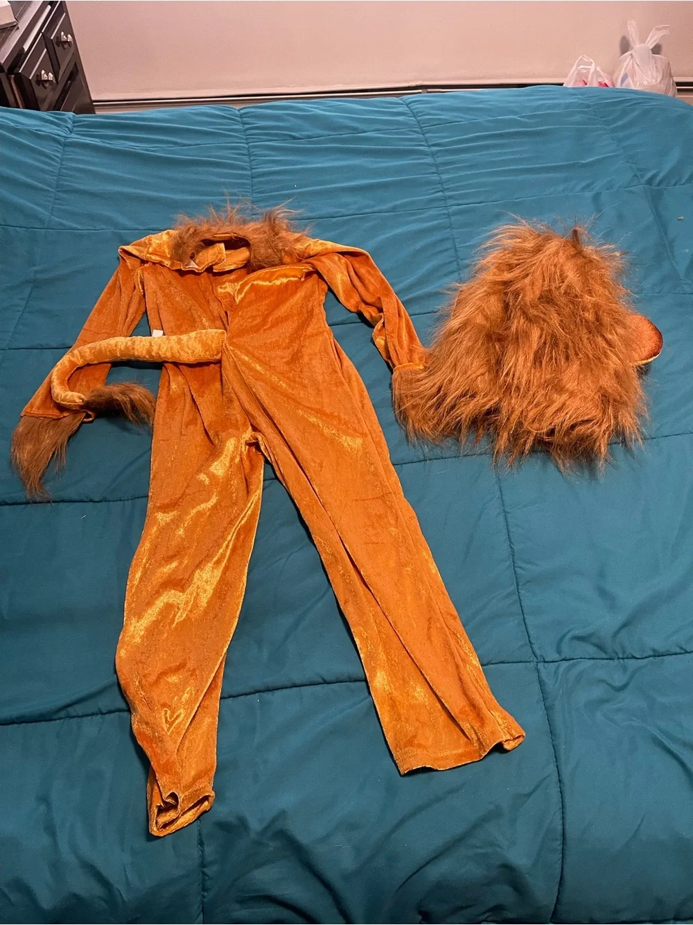 Little kid lion costume S (4-6)